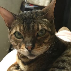 Meet your Posher, Connie